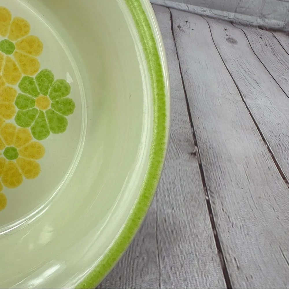 vtg picnic by Franciscan Earthenware 9